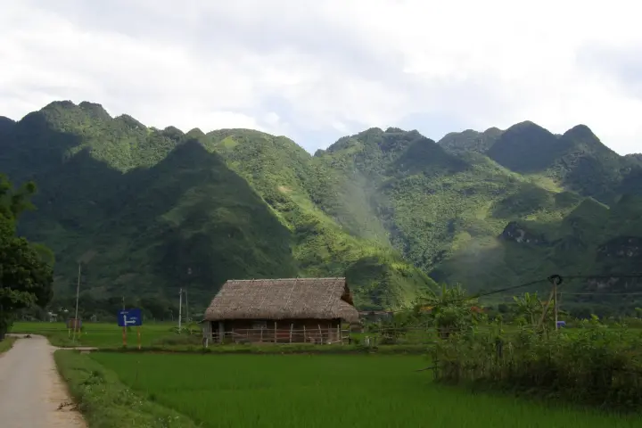 Rice fields and a thatched house in the Mai Châu valley
