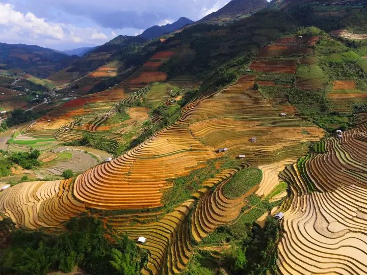 Terraced rice fields in Mù Cang Chải