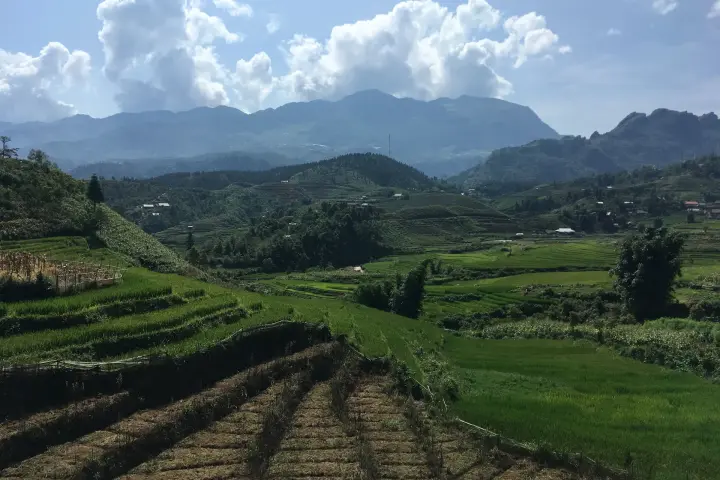 Rice terraces under a blue sky in Sa Pa