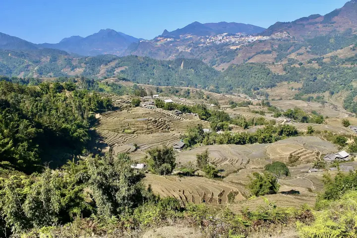 Rice terraces in Sa Pa