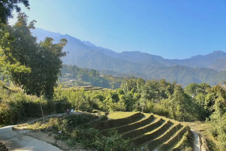 Rice terraces in a valley near Sa Pa