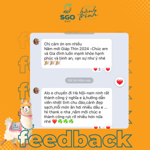 Album Feedback