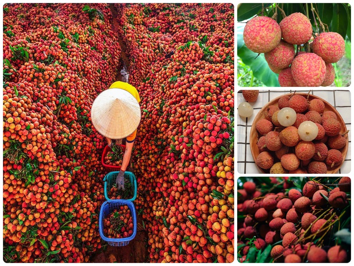 Về Bắc Giang, một ngày trải nghiệm Theo dấu chân Phật Hoàng - Ảnh 3.