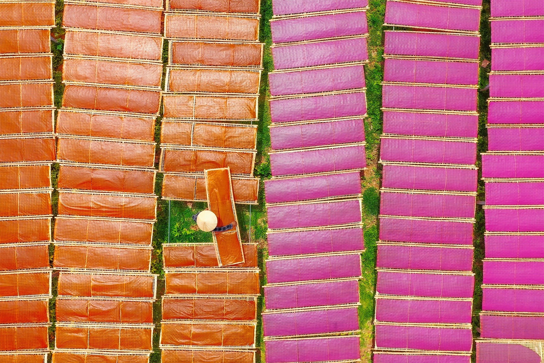 Trong tour hái vải đêm, du khách sẽ được tham quan nhiều điểm đến khác là làng nghề Mỳ chũ Thủ Dương