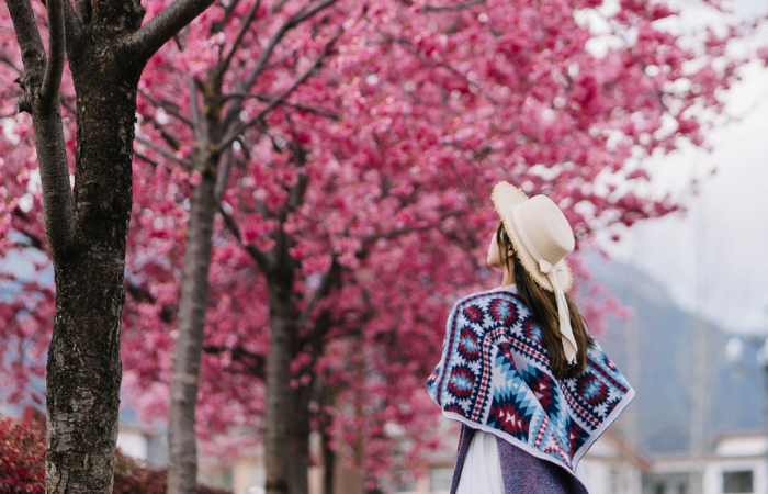 Côn Minh – Thành phố vạn mùa xuân giữa cao nguyên Vân Nam