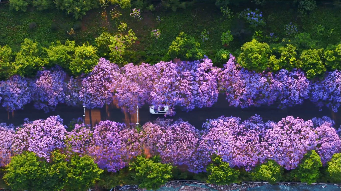 Côn Minh – Thành phố vạn mùa xuân giữa cao nguyên Vân Nam