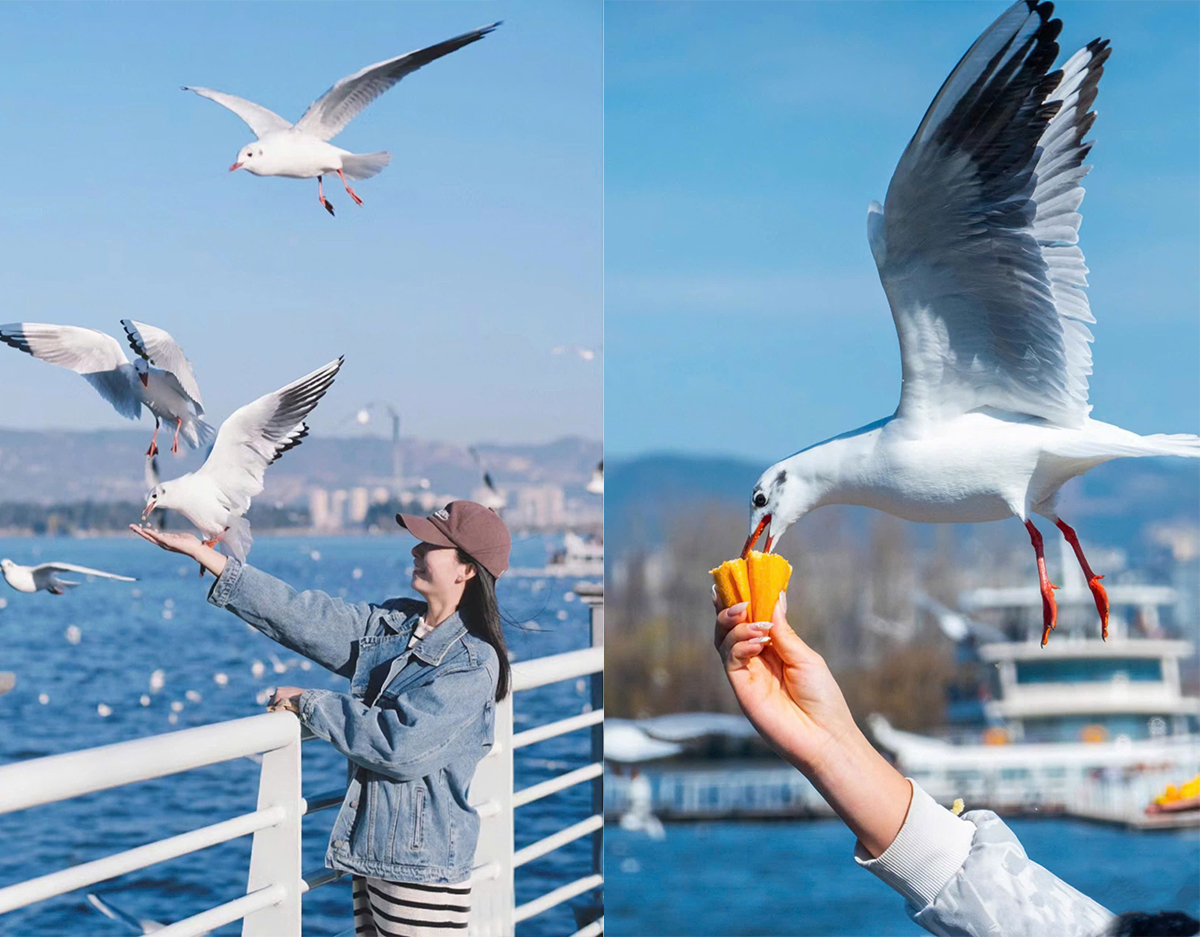 Côn Minh – Thành phố vạn mùa xuân giữa cao nguyên Vân Nam