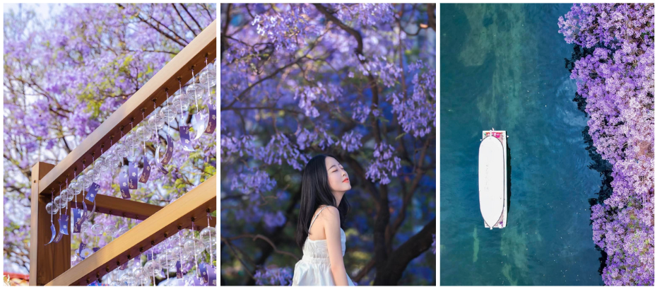 Côn Minh – Thành phố vạn mùa xuân giữa cao nguyên Vân Nam