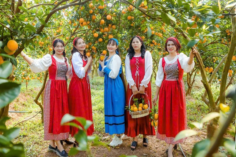 Miệt vườn Lục Ngạn mùa cam bưởi – Trải nghiệm du lịch cuối tuần thú vị gần Hà Nội