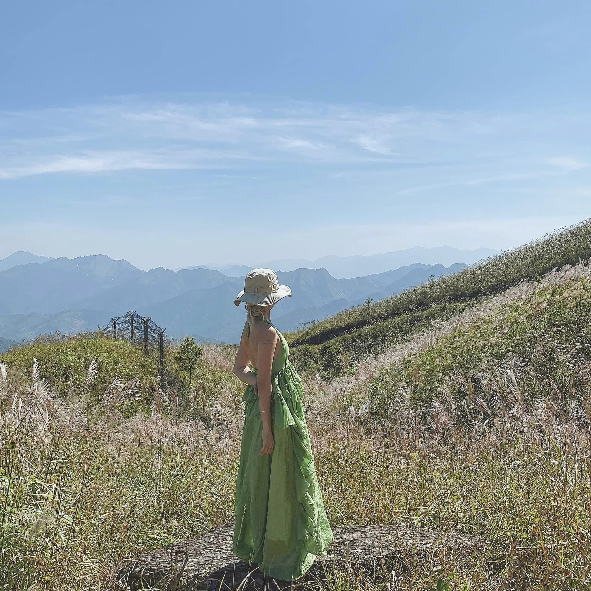 Mùa cỏ lau ở Bình Liêu – Thiên đường hoa lau giữa miền biên viễn