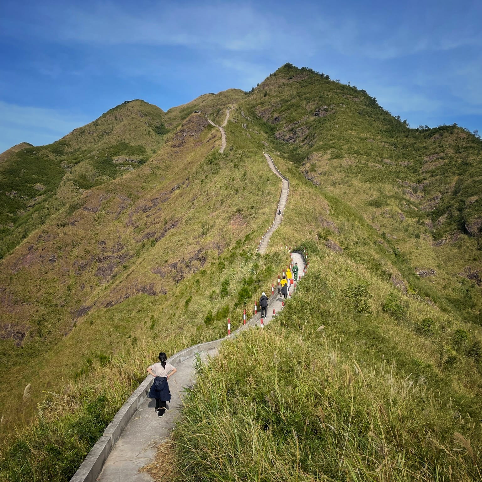 Mùa cỏ lau ở Bình Liêu – Thiên đường hoa lau giữa miền biên viễn