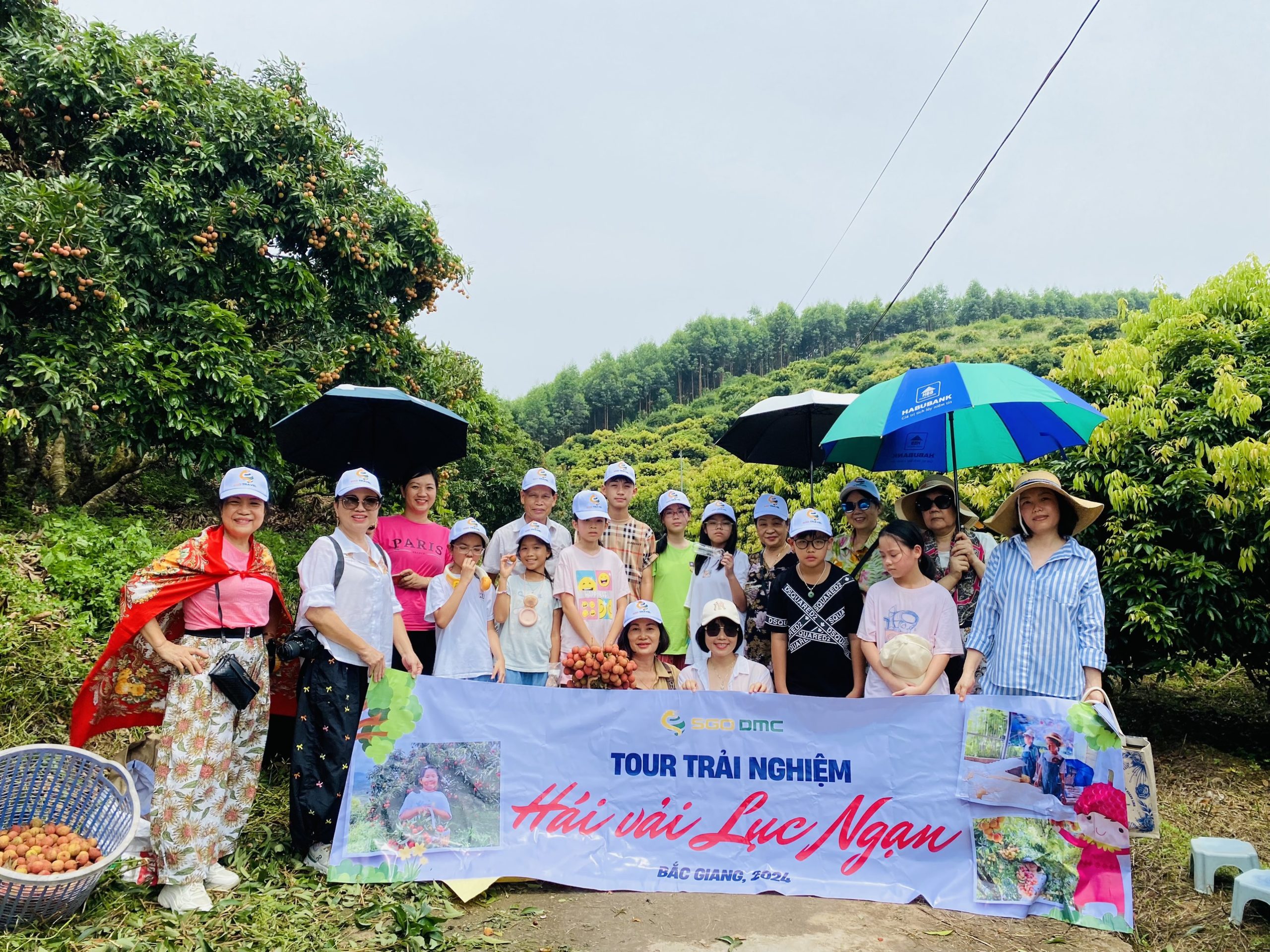 Miệt vườn Lục Ngạn mùa cam bưởi – Trải nghiệm du lịch cuối tuần thú vị gần Hà Nội