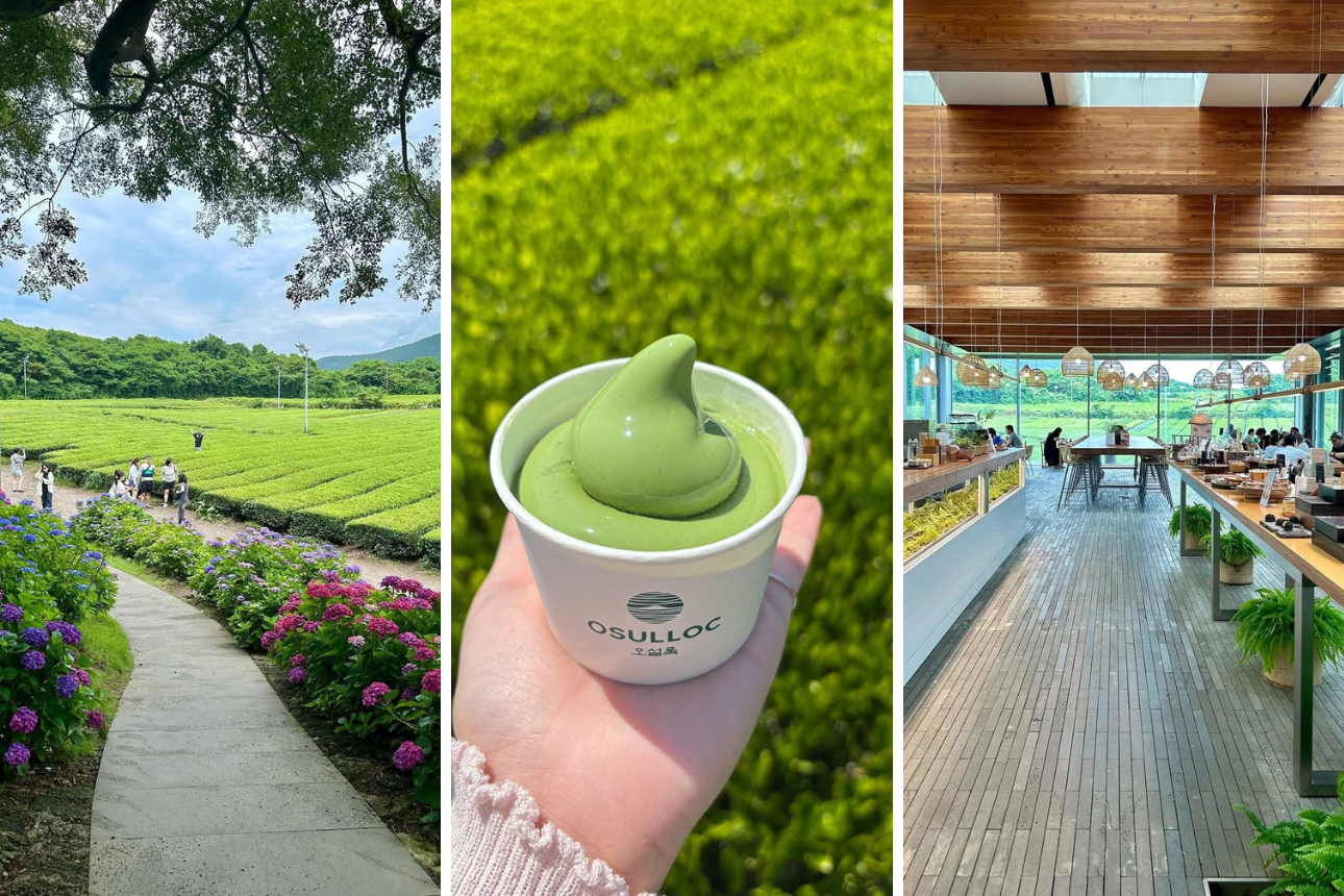 Lịch trình vi vu &#8220;đảo tình yêu Jeju&#8221; tự túc chi tiết nhất