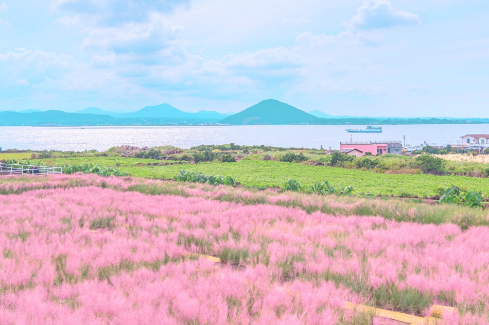 Lịch trình vi vu &#8220;đảo tình yêu Jeju&#8221; tự túc chi tiết nhất