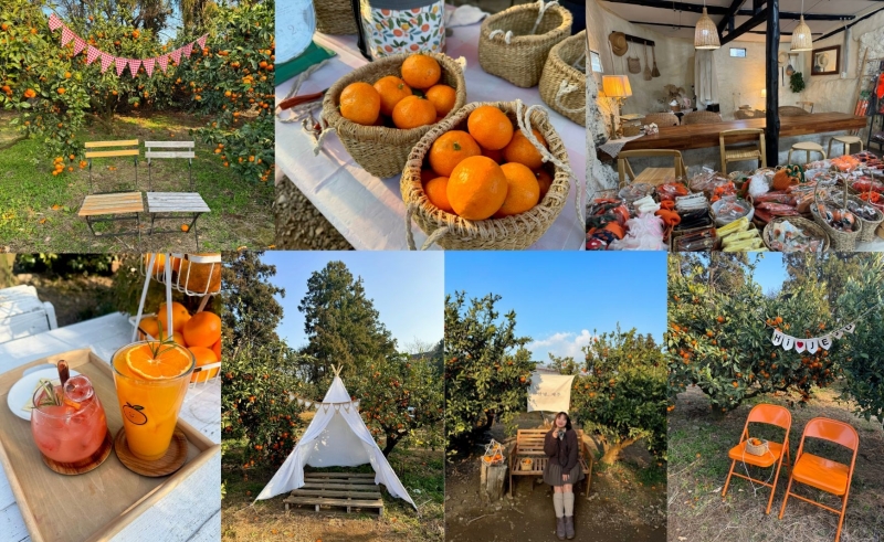 Lịch trình vi vu &#8220;đảo tình yêu Jeju&#8221; tự túc chi tiết nhất