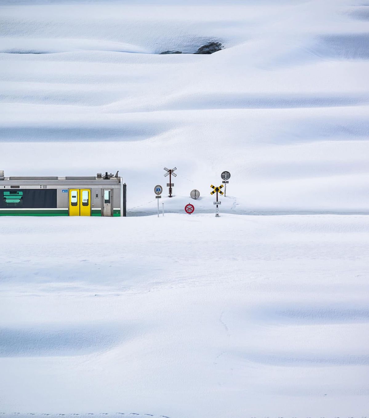 Săn tuyết Hokkaido: Thời điểm đẹp nhất và những lưu ý quan trọng