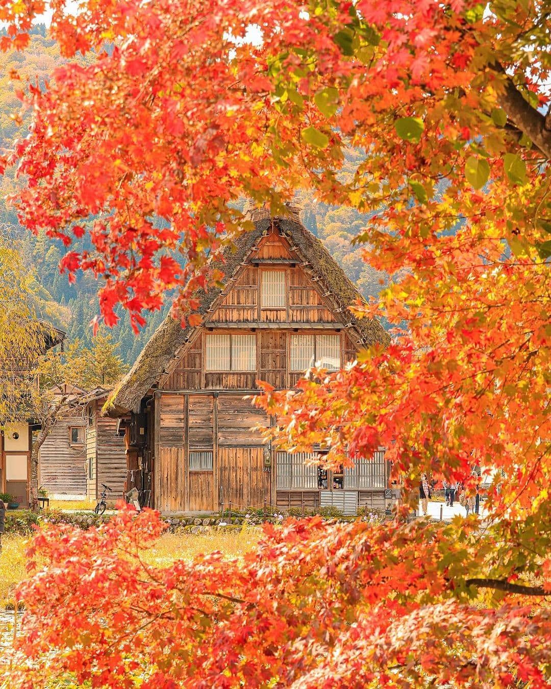 Ngỡ ngàng trước vẻ đẹp thiên đường tại ngôi làng cổ tích Shirakawa-go