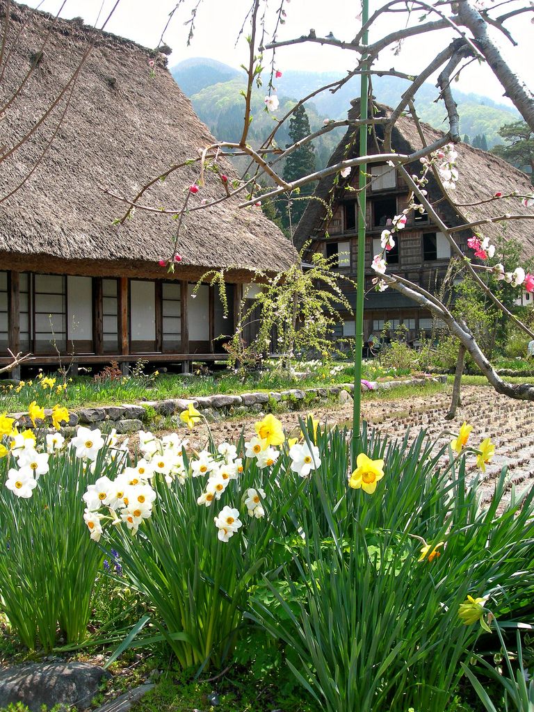 Ngỡ ngàng trước vẻ đẹp thiên đường tại ngôi làng cổ tích Shirakawa-go