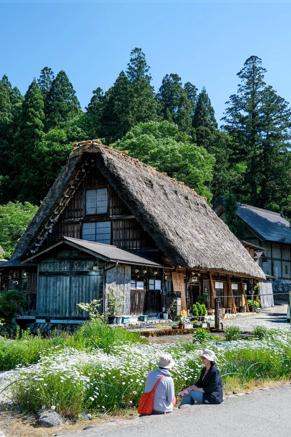 Ngỡ ngàng trước vẻ đẹp thiên đường tại ngôi làng cổ tích Shirakawa-go