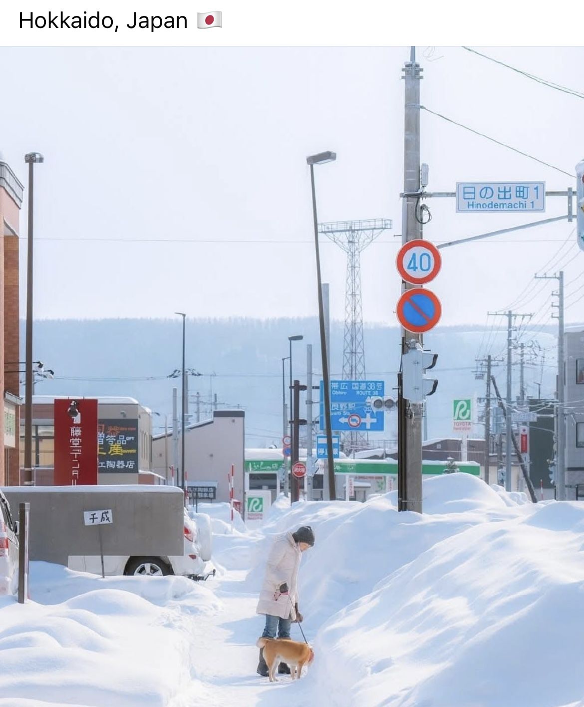 Săn tuyết Hokkaido: Thời điểm đẹp nhất và những lưu ý quan trọng