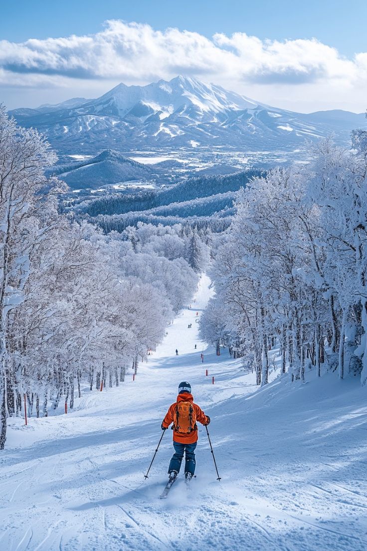 Săn tuyết Hokkaido: Thời điểm đẹp nhất và những lưu ý quan trọng