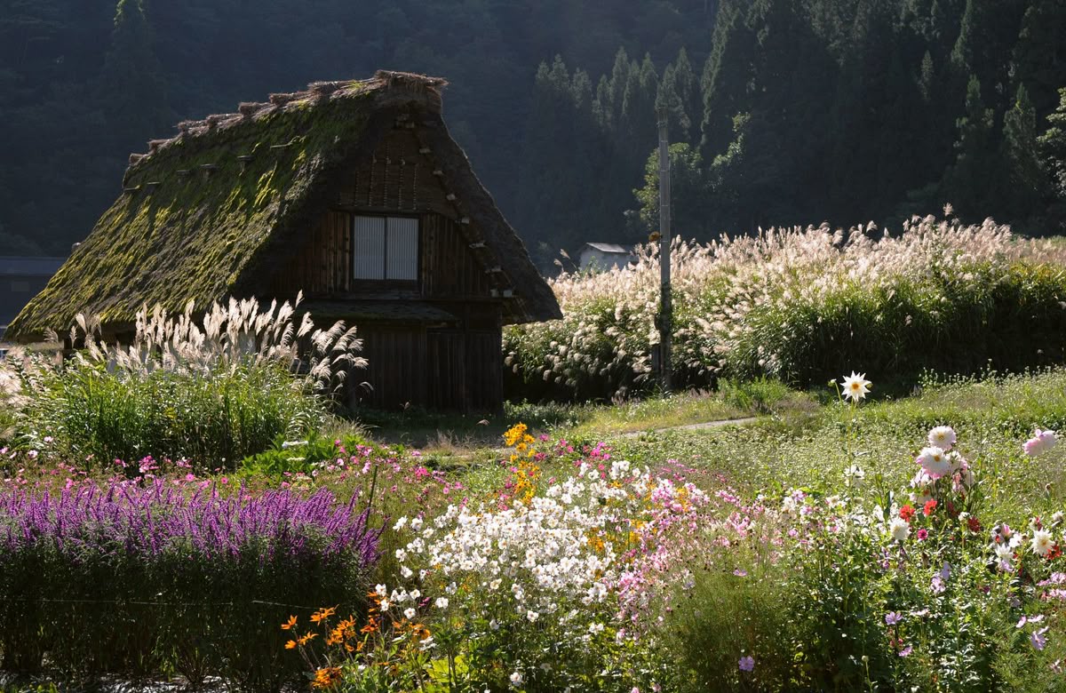 Ngỡ ngàng trước vẻ đẹp thiên đường tại ngôi làng cổ tích Shirakawa-go