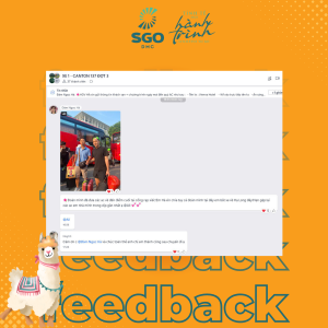 Album Feedback
