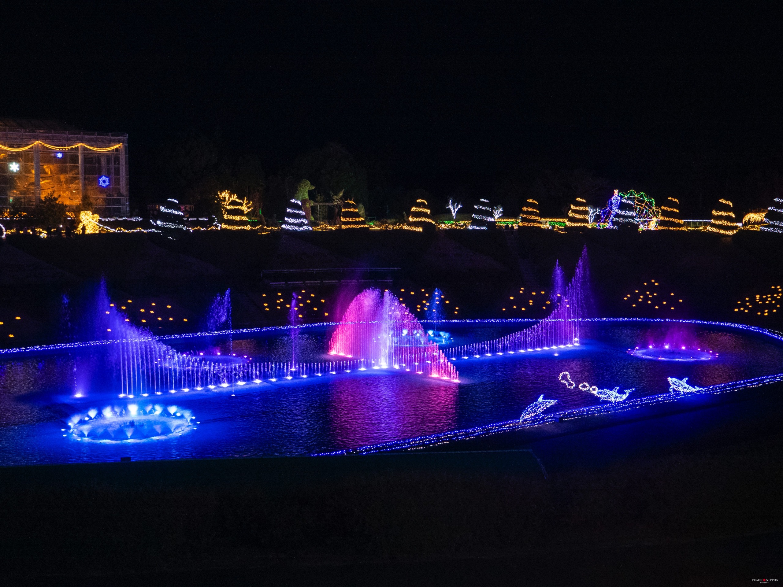 Hamamatsu Flower Park – Tọa độ săn hoa 4 mùa cực đỉnh tại Nhật Bản