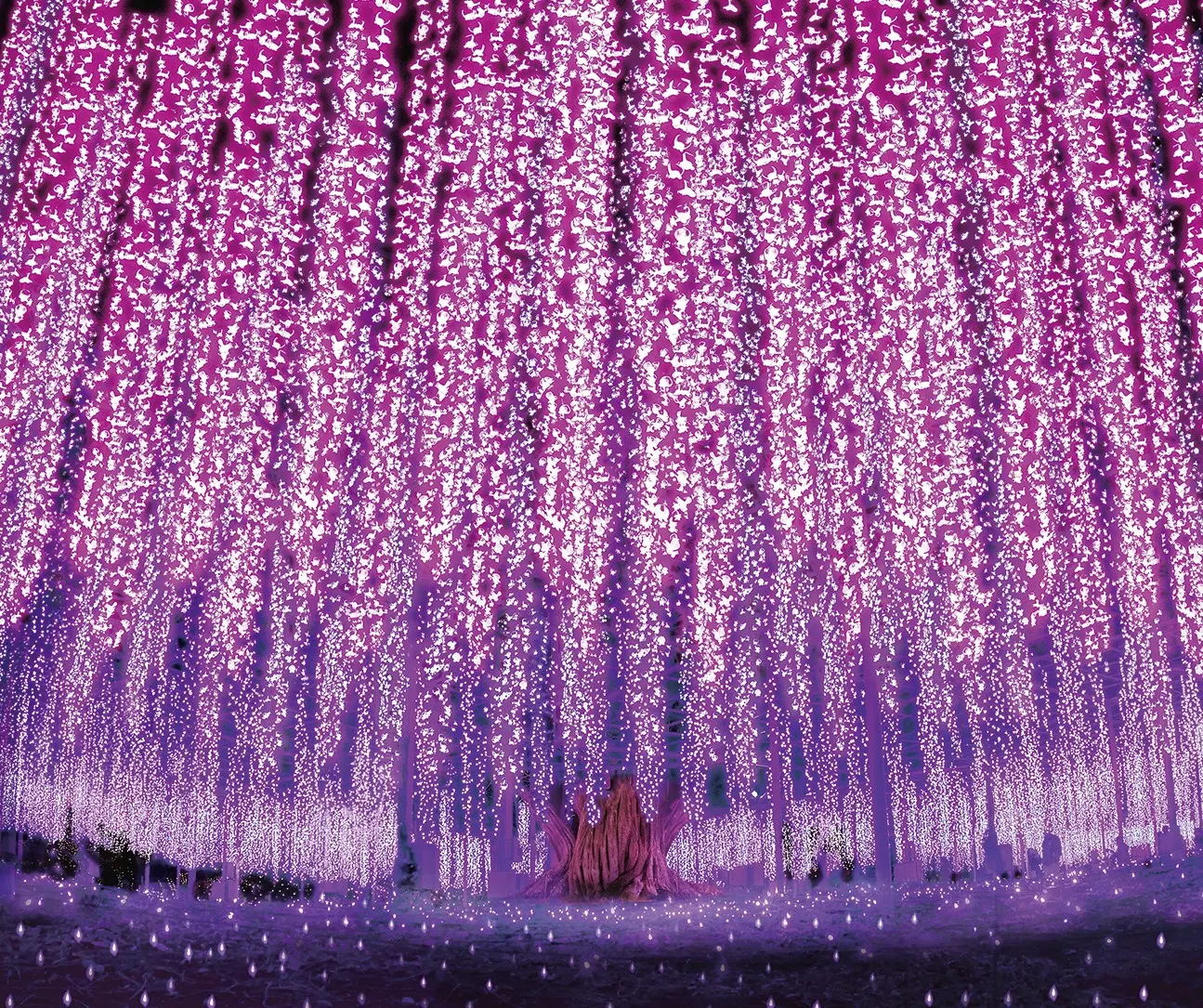 Hamamatsu Flower Park – Tọa độ săn hoa 4 mùa cực đỉnh tại Nhật Bản