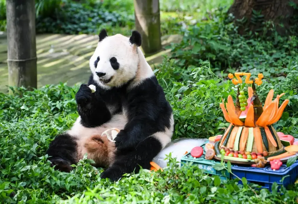 Kinh nghiệm du lịch Trùng Khánh tự túc từ A-Z: Khám phá thành phố 8D kỳ ảo