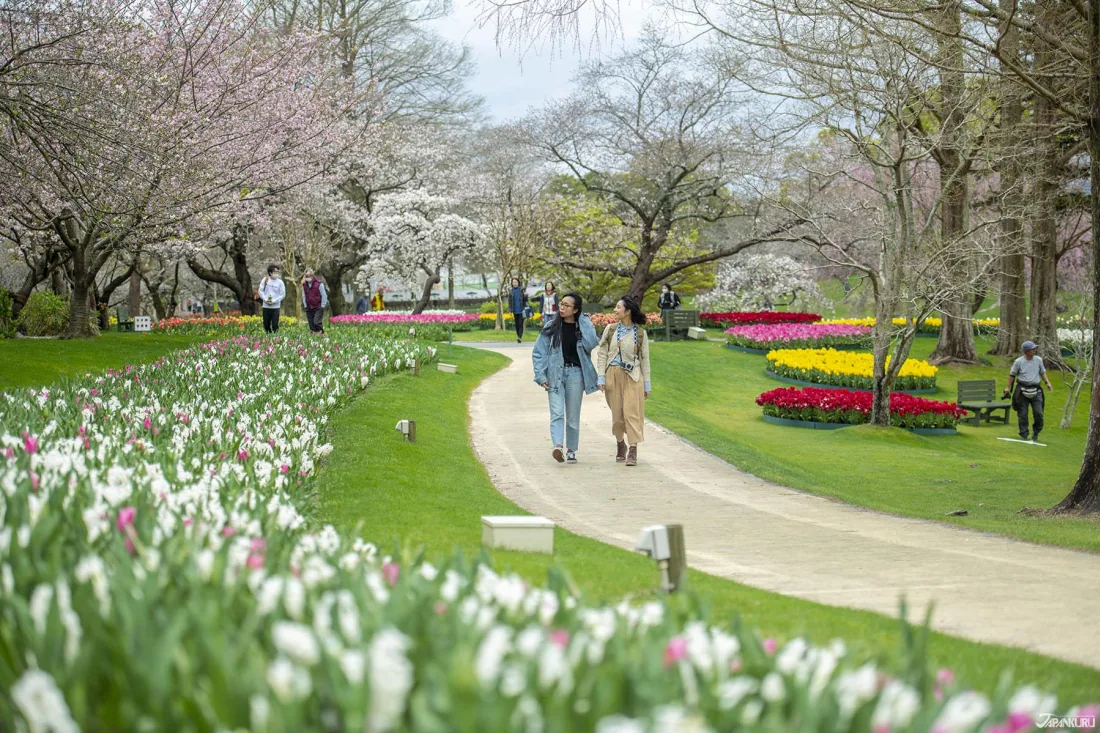 Hamamatsu Flower Park – Tọa độ săn hoa 4 mùa cực đỉnh tại Nhật Bản