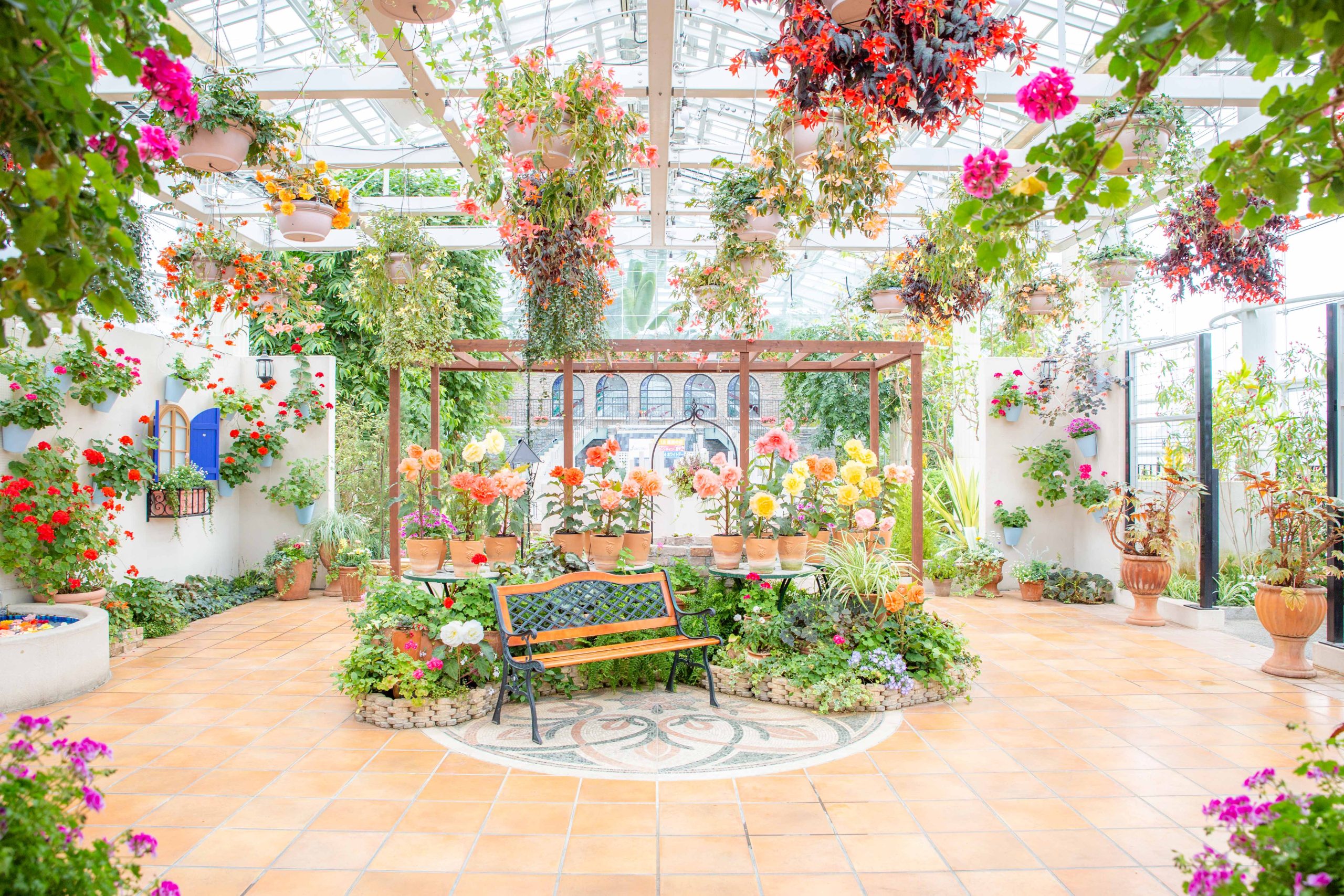 Hamamatsu Flower Park – Tọa độ săn hoa 4 mùa cực đỉnh tại Nhật Bản