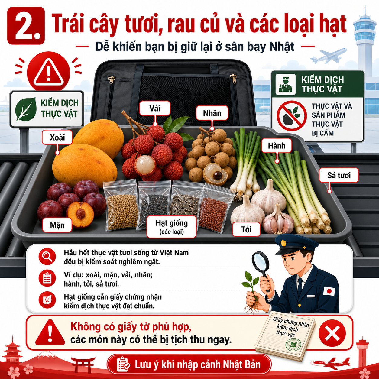Top 5 món đồ khiến bạn bị giữ lại ở sân bay Nhật Bản có thể bạn không ngờ tới