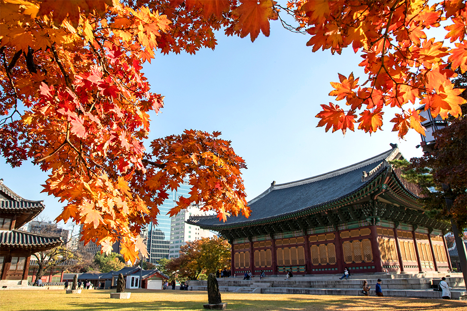 Top 6 địa điểm ngắm lá vàng mùa thu gần Seoul đẹp như phim