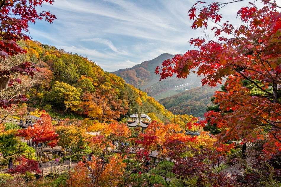 Top 6 địa điểm ngắm lá vàng mùa thu gần Seoul đẹp như phim