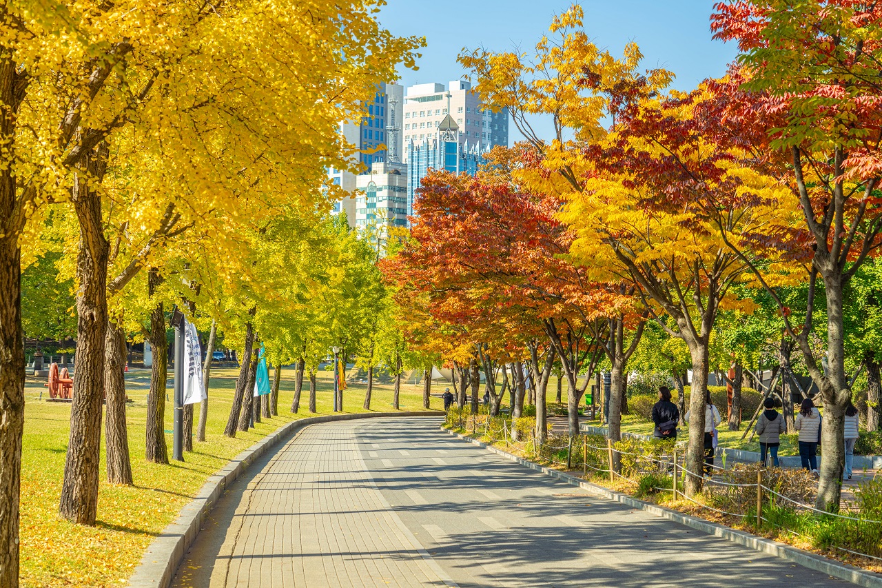 Top 6 địa điểm ngắm lá vàng mùa thu gần Seoul đẹp như phim